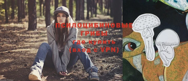 марки nbome Алексеевка