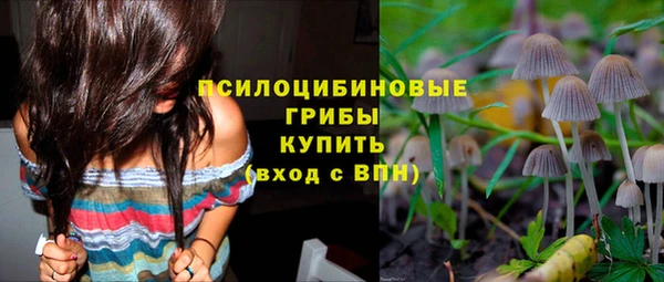 кокс Алзамай