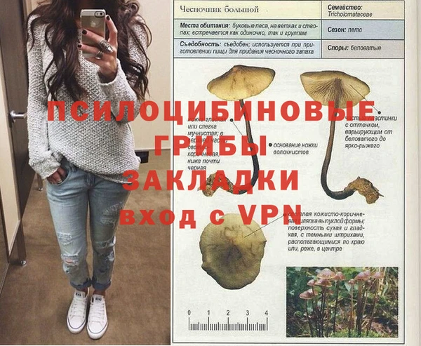 кокс Алзамай