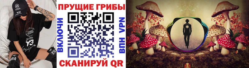 Галлюциногенные грибы ЛСД  сколько стоит  Нелидово 