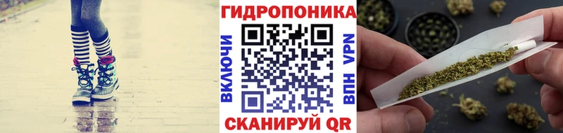 Канабис Bruce Banner  где найти наркотики  нарко площадка какой сайт  Нелидово 
